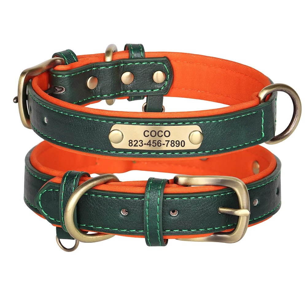 Personalised Dog Collar