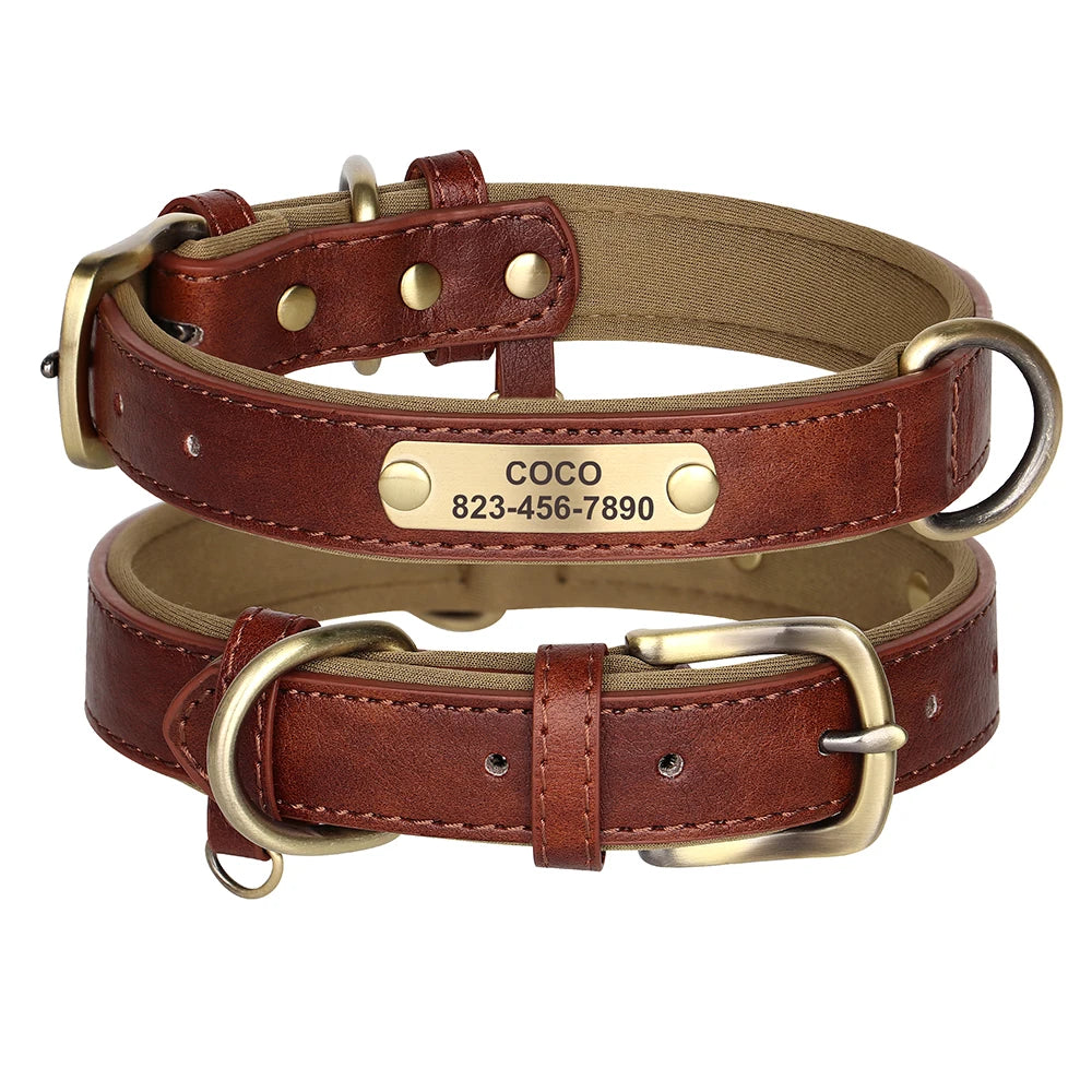 Personalised Dog Collar