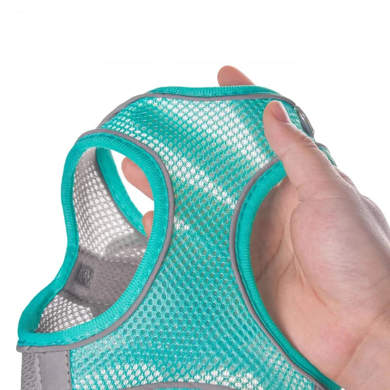 Dog Harness & Leash Set